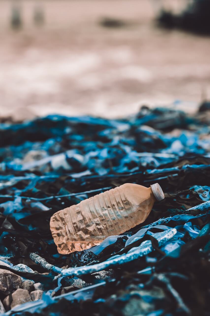 업사이클링으로 만든 반려동물 장난감 만들기