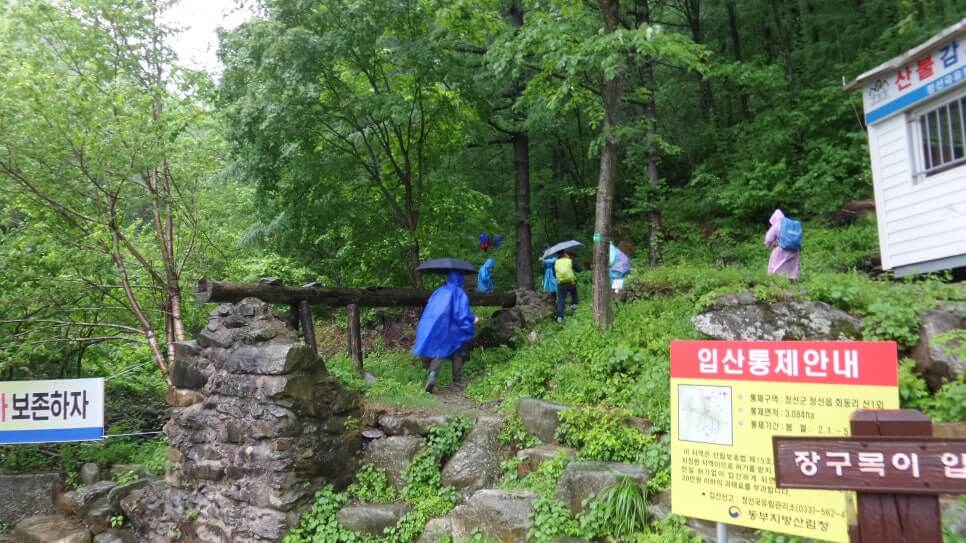 100대 명산 등산하기 마흔세번째 정선 가리왕산 깊은 원시림과 청량한 산세가 살아 숨 쉬는 강원도의 숨은 명산