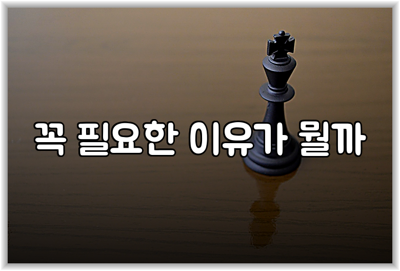 꼭 필요한 이유가 뭘까