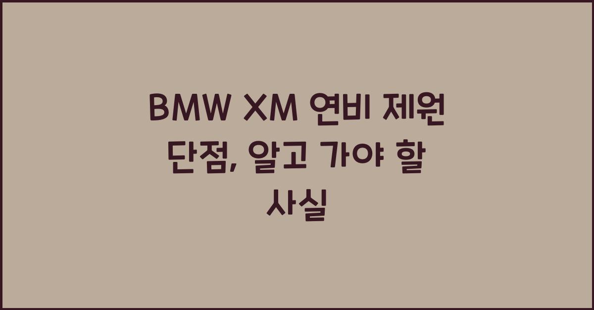 BMW XM 연비 제원 단점