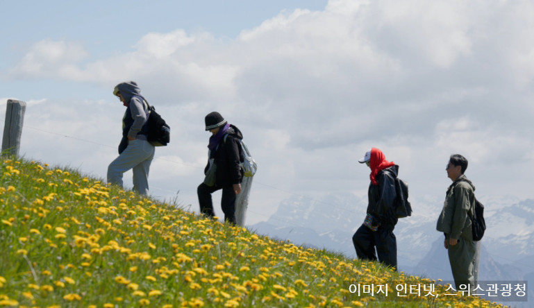스위스 루체른 알프스 여행&amp;#44; 박원숙 같이삽시다