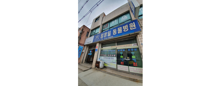 홍성군 동물병원