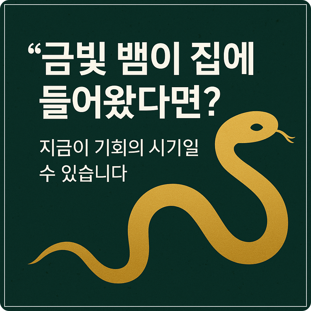 색깔에 따른 뱀꿈 해몽