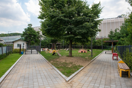 용인 반려견 놀이터