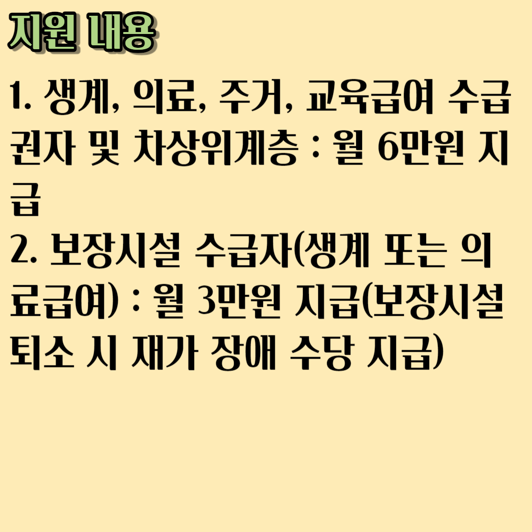 2023 장애 수당