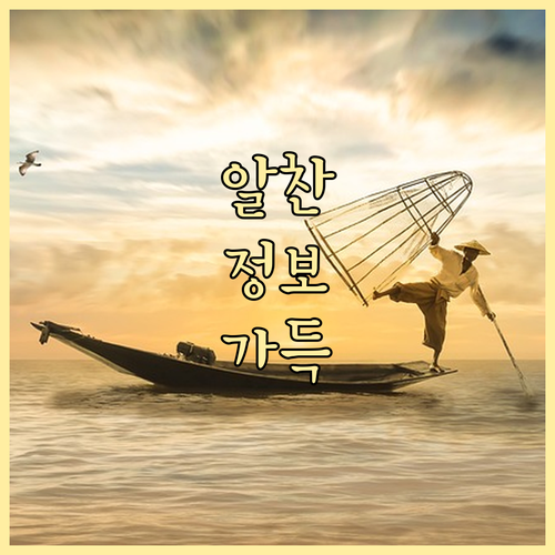 중랑구 묵동 쓰레기 배출의 모든 것 ..