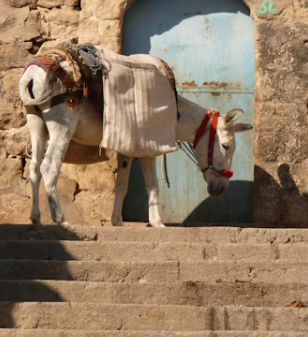 통상임금이란 통상임금 계산방법 대법원 판결