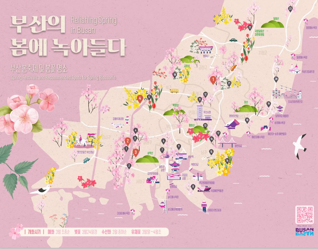 부산의 봄에 녹아들다