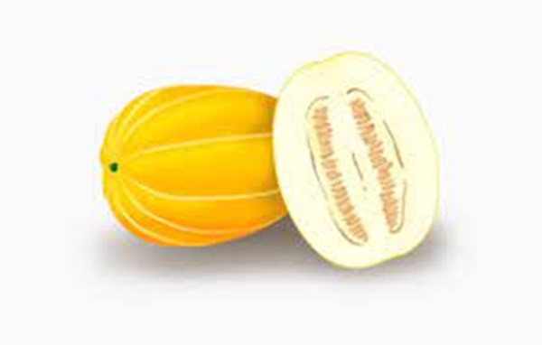 칼륨이 많은 음식