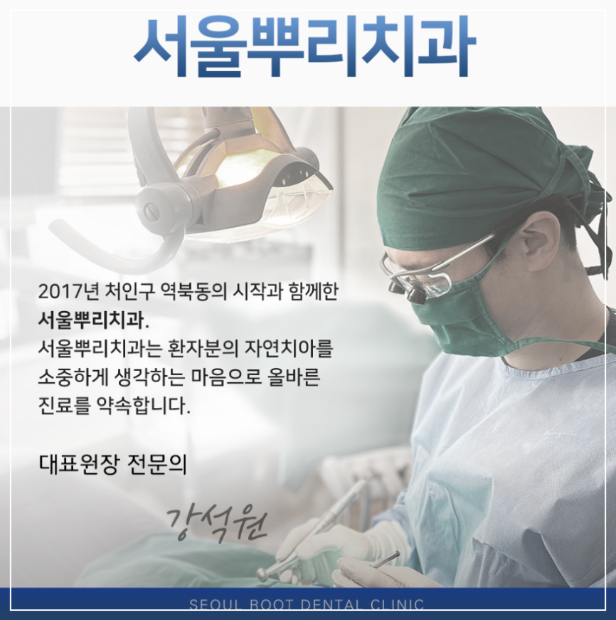 용인 처인구 임플란트 서울 뿌리치과