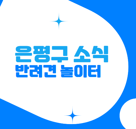 은평구 소식