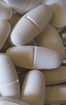 골다공증 영양제2