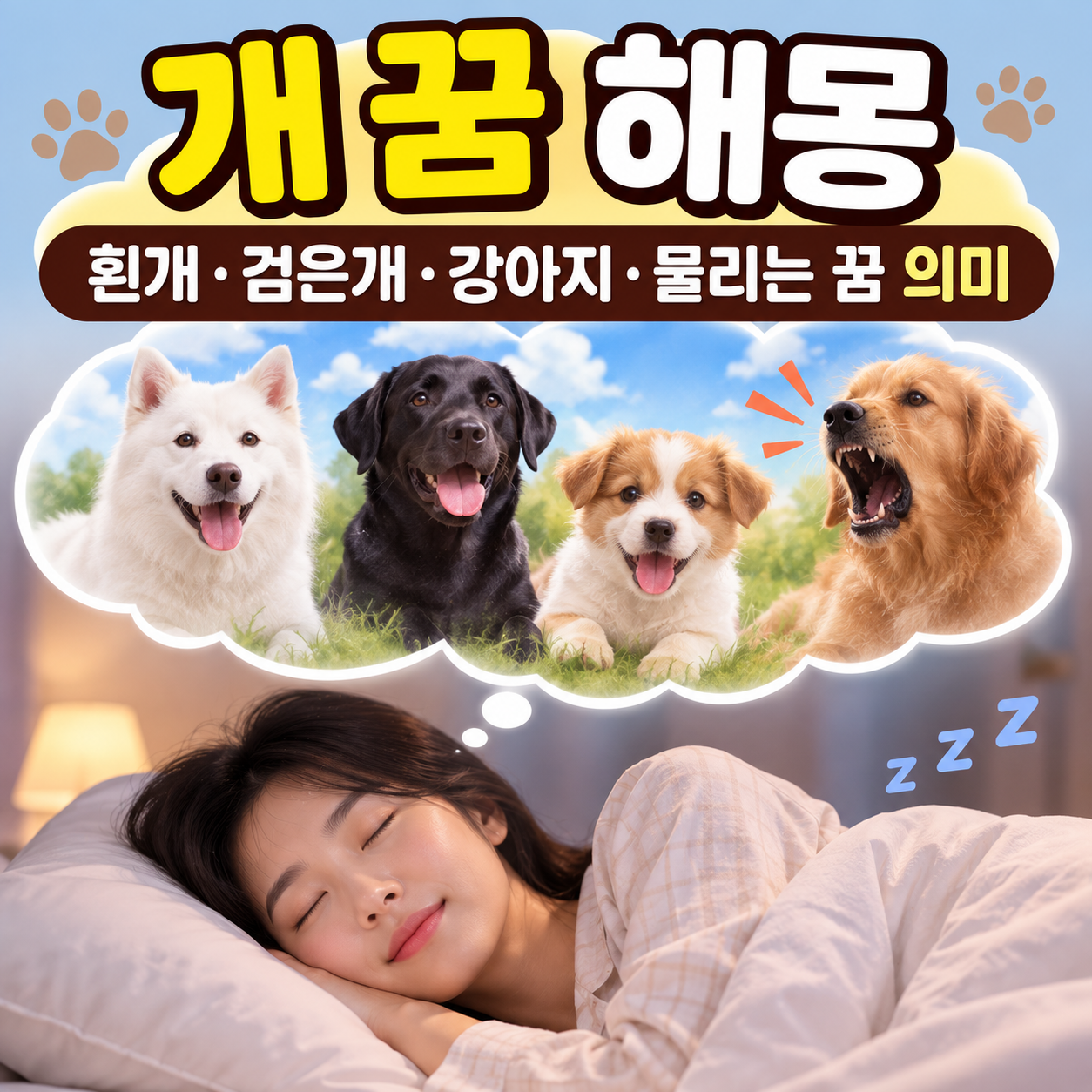 개 꿈