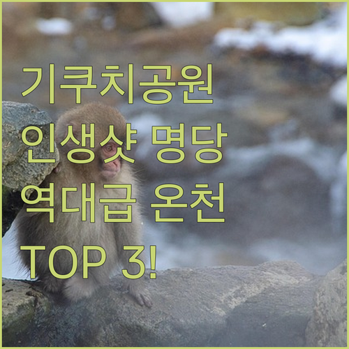 기쿠치 공원 인생샷 구도와 근처 평점..