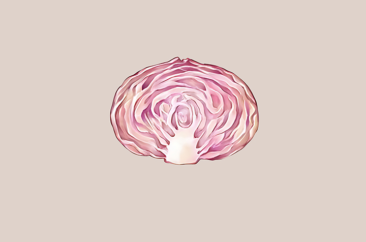 적양배추-하루-섭취-권장량