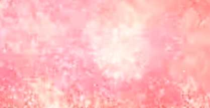 2025 서울세계불꽃축제 캐나다