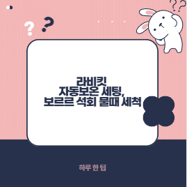 라비킷 자동보온 세팅, 보르르 석회 물때 세척