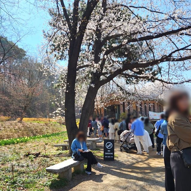 충남-당진-피어라-카페