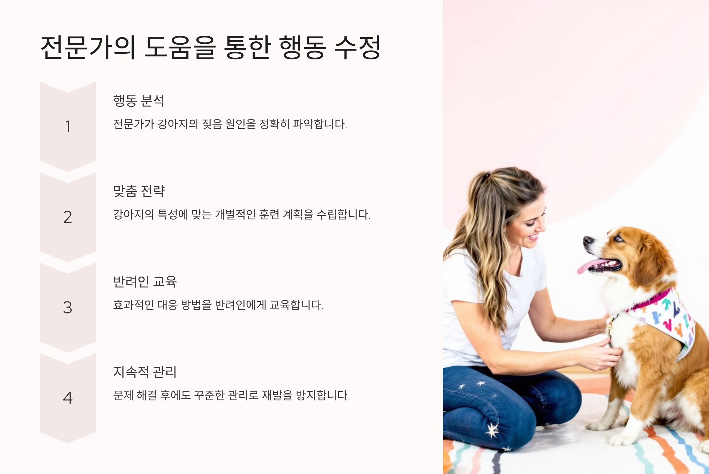 전문가의 도움을 통한 행동 수정