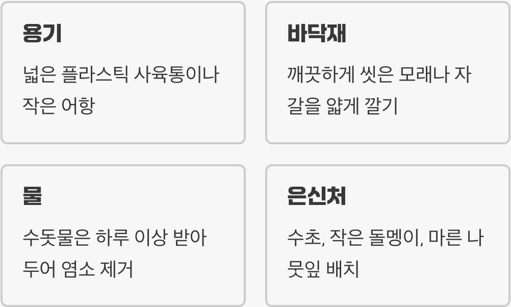 자연을 옮겨온 작은 연못&amp;#44; 사육 환경 꾸미기