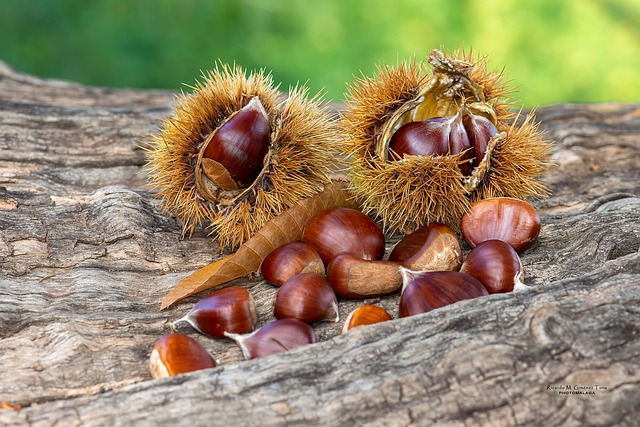 2025 추석 무료 개방 총정리