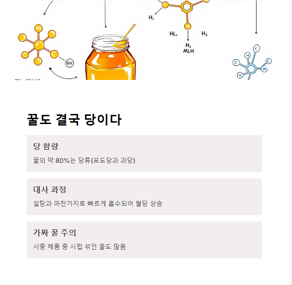 꿀도 결국 당이다? 오해와 진실