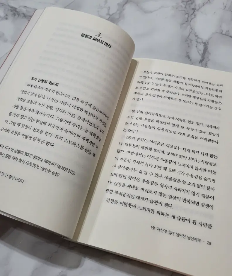 사진12