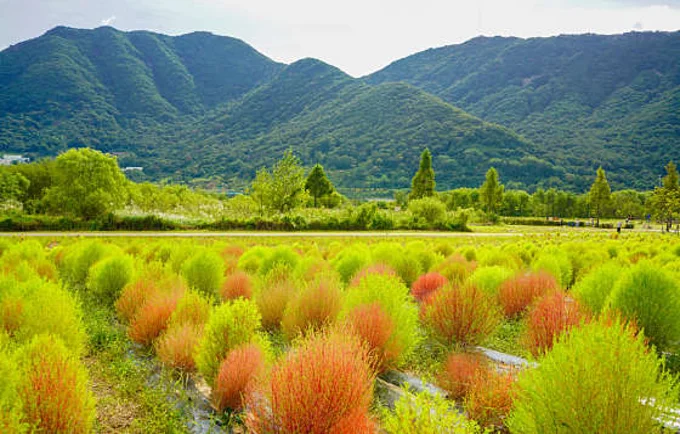 황산공원