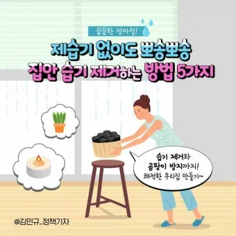 제습기 없이 습기 제거 끝 숯 염화칼슘 등 천연 제습제 활용법 완벽 가이드_7