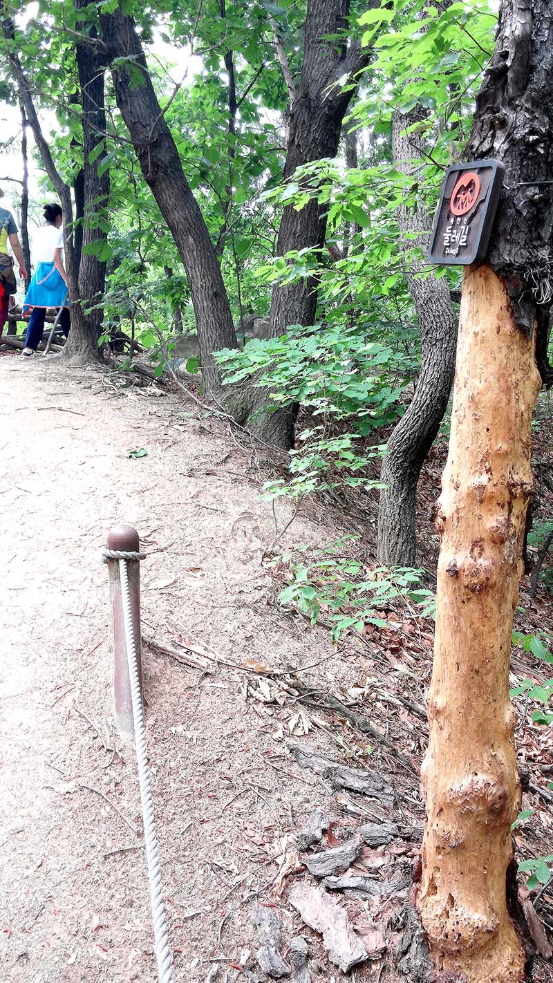 북한산둘레길 방학동길