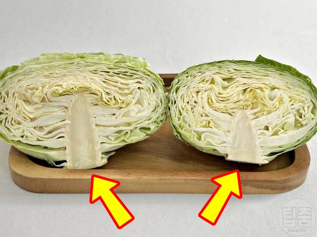 맛있는 양배추 고르는법 양배추 쓴맛