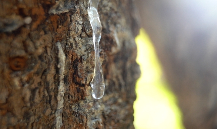 다큐프라임 매스틱