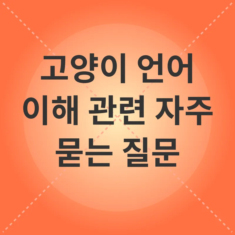 고양이 언어 이해_4