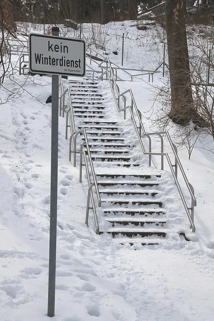 화분 겨울철 관리 난방건조 습도유지 물주기간격 조절 식물등보조_1