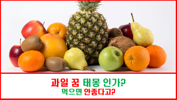 과일 꿈 길몽