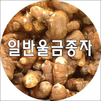 울금 관절 연고 관절통 완화 항염 작용 효능_14