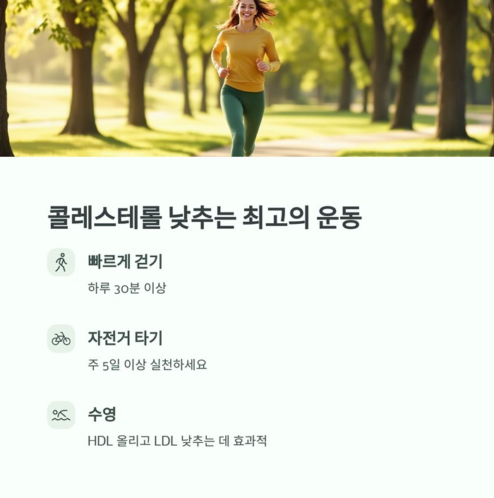 콜레스테롤 낮추는 가장 효과적인 방법 7가지 요약 이미지