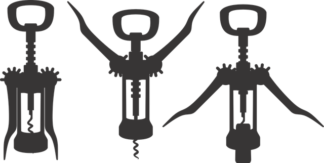 국민 내일배움카드 국가지원 IT 자격증으로 취업