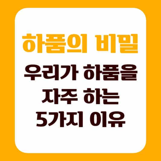하품의 비밀, 우리가 하품을 자주 하는 5가지 이유