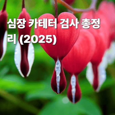 심장 카테터 검사 총정리 (2025)