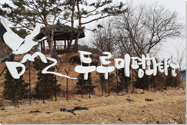 철원 두루미 탐조 방법 코스