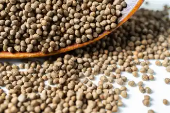 국산 들깨 1말 가격&amp;#44; 들깨의 효능과 영양성분