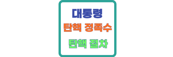 대통령 탄핵 정족수