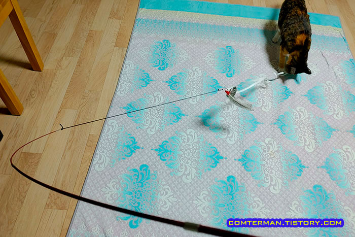 고양이 장난감 직접 만들기