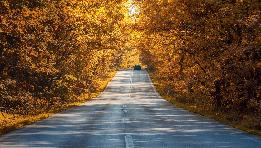 겨울 오기 전, 놓치면 아쉬운 가을 감성 여행지