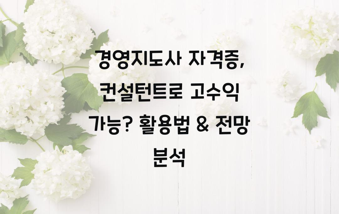 경영지도사 자격증, 컨설턴트로 고수익 가능? 자격증 활용법 & 전망