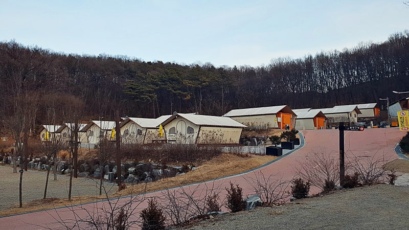 경기도 군포시 초막골생태공원 느티나무야영장 소개