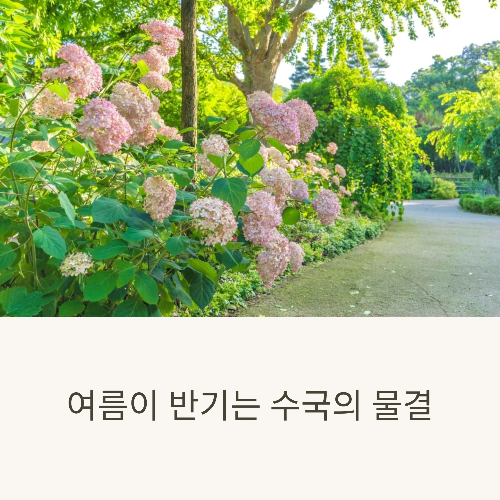 화담숲 수국축제
