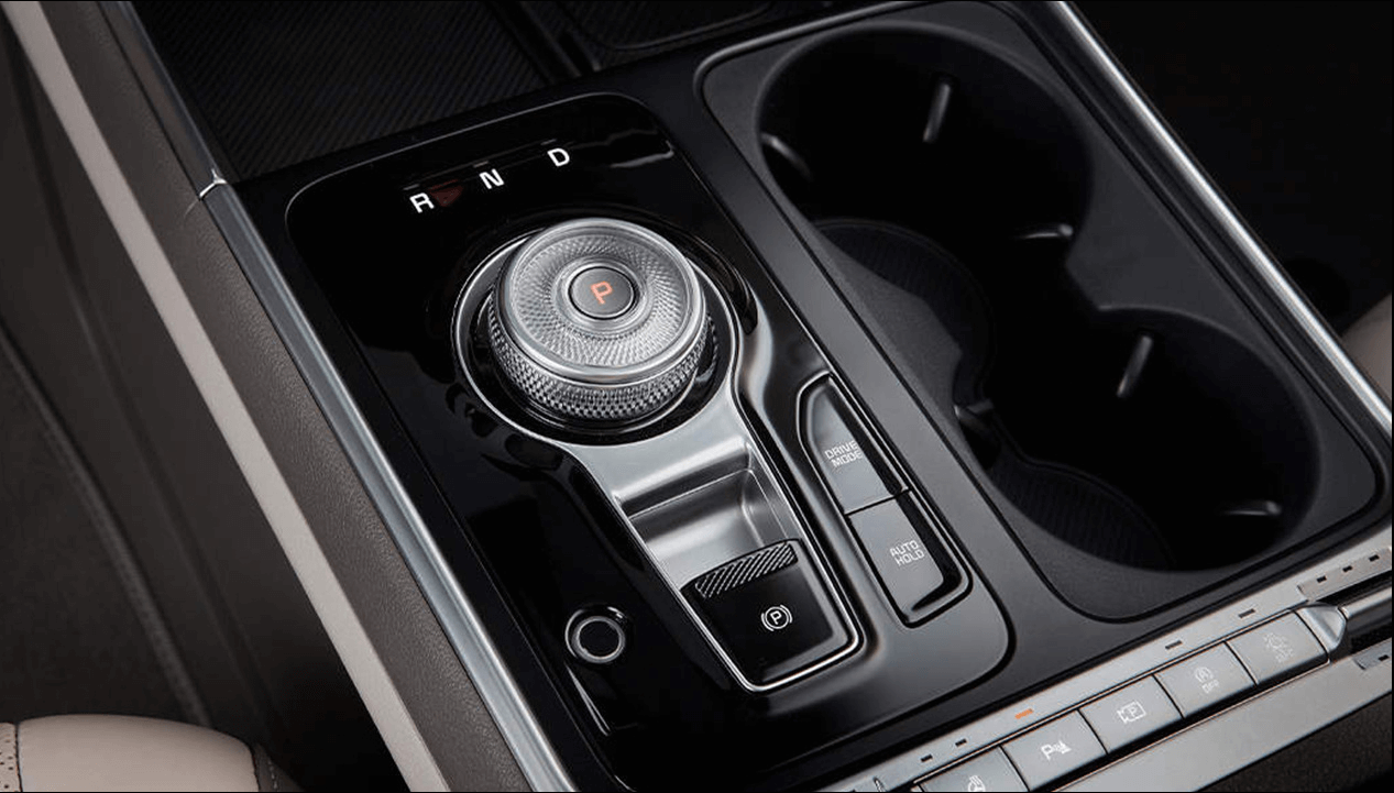 카니발 하이브리드