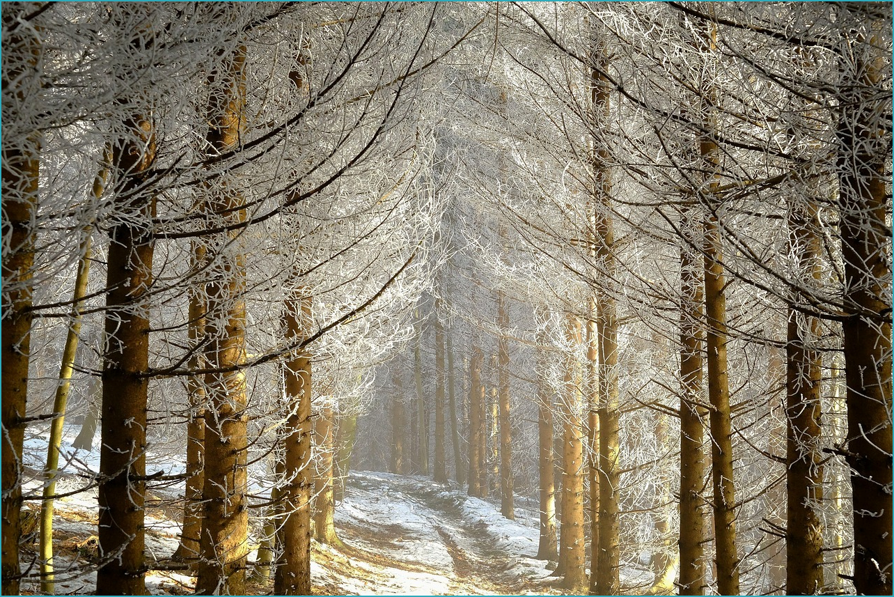 국세 환급금 조회방법
